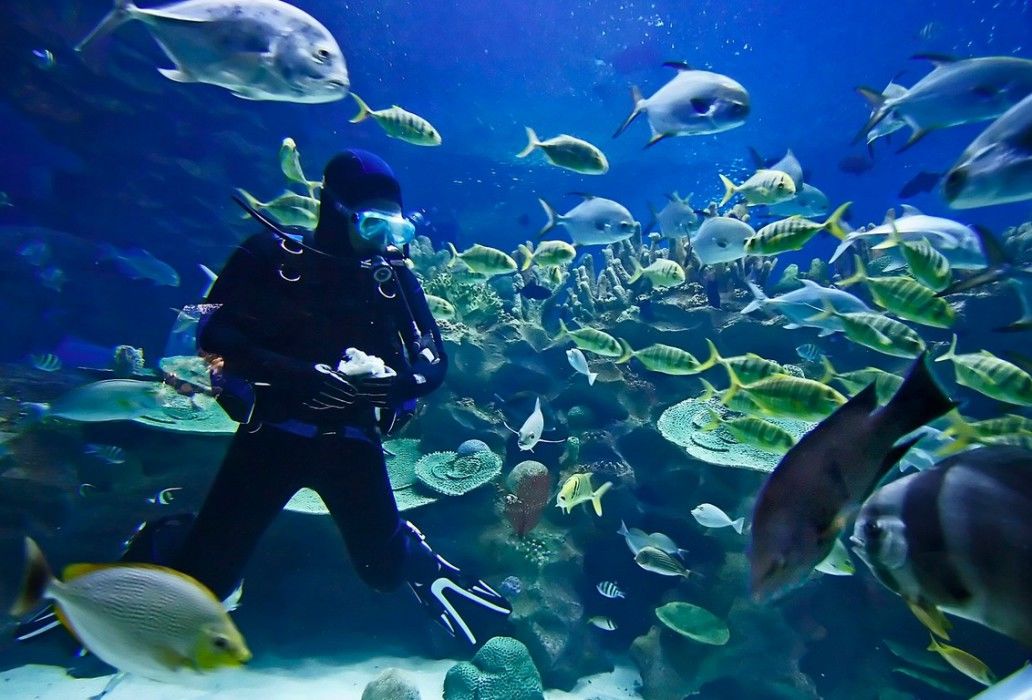 Baron Resort Sharm El Sheikh (Adults Only) Esterno foto Open Ocean