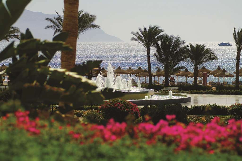 Baron Resort Sharm El Sheikh (Adults Only) Ristorante foto Hilton Sharm El Sheikh Resort